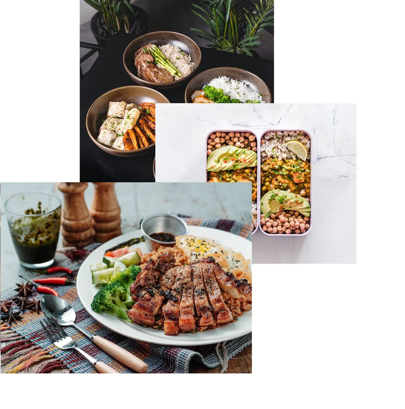 meals ,meals in storage container,and food bowls on a table